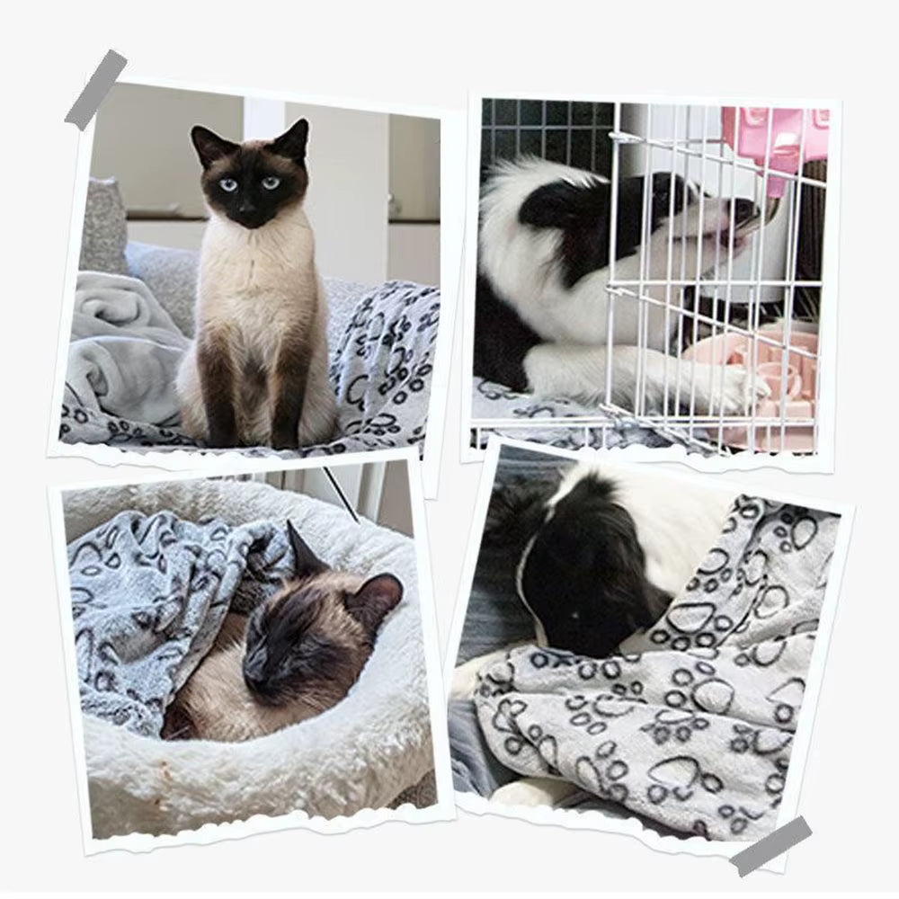Soft Dog Mat Blanket Washable, Cat Blanket for Indoor Cats Mat Large Medium Small Dog Gifts Puppy Essentials (Grey) Bed