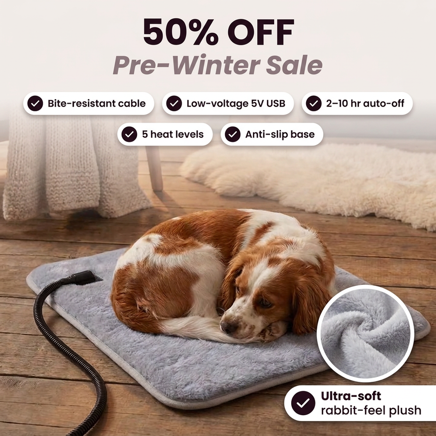 Spaniel curled up asleep on the grey NURO heated mat by the fireplace